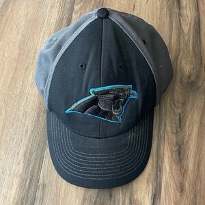 Carolina Panthers Logo Cap Hat NFL